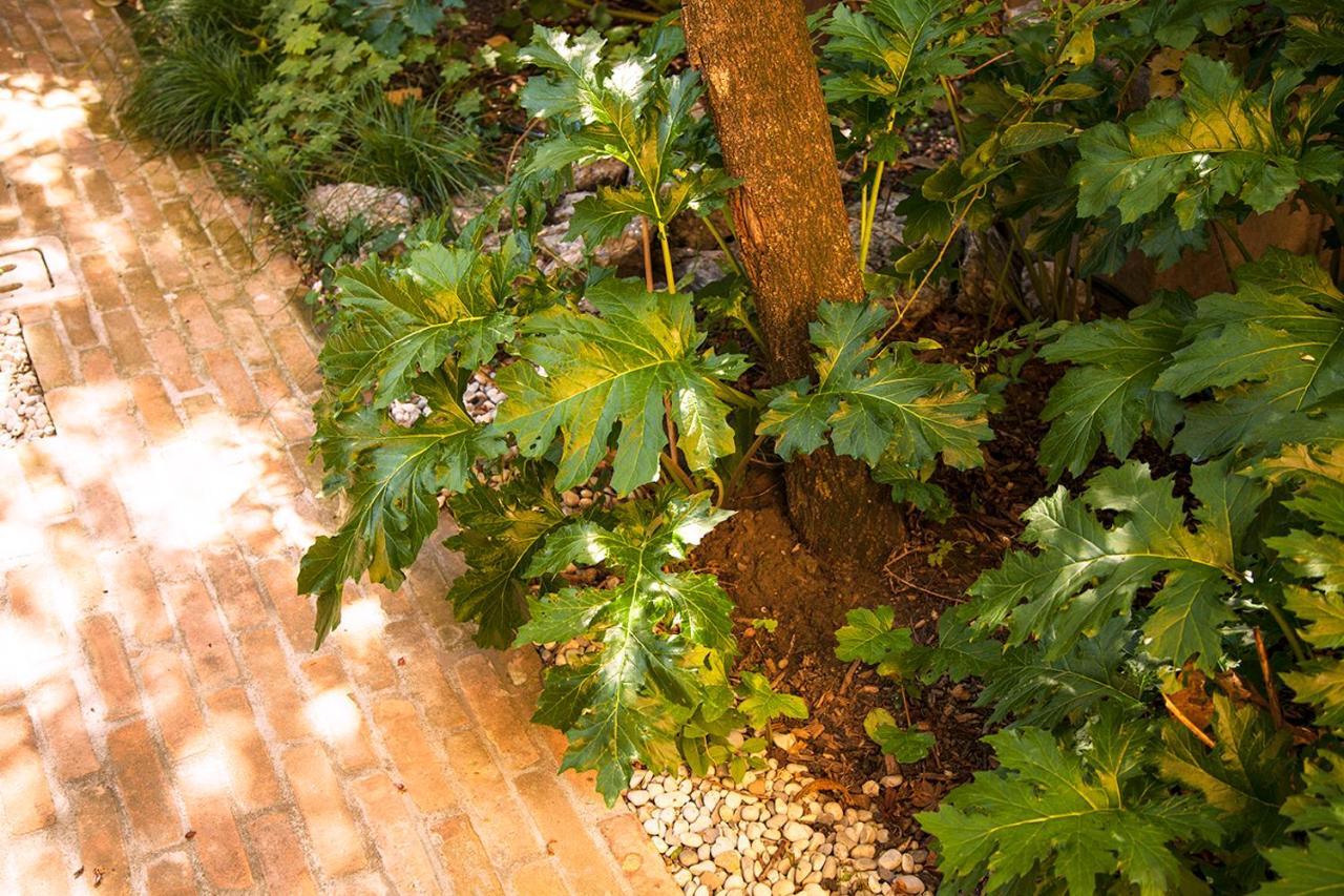 Urban Jungle Apartment Bologna Exterior foto